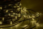 Neon-Night Гирлянда LED Clip Light 12V шаг 150 мм с трансформатором 325-146