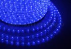 Neon-Night Дюралайт LED, постоянное свечение (2W) 121-123-4