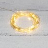 Neon-night Гирлянда «Роса» 10 м, 100 LED, USB, 315-976