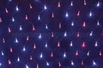 Neon-night Гирлянда-сеть светодиодная 2х0,7 м, свечение с динамикой 215-013