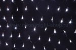 Neon-night Гирлянда-сеть светодиодная 2х1,5 м, свечение с динамикой 215-021