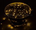 Neon-night Гирлянда 10 м, 100 диодов 303-131