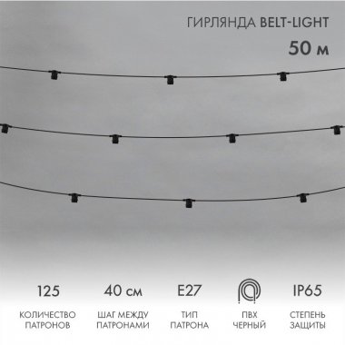Фотография товара 'Neon-Night 331-241 Гирлянда Belt-Light 2 жилы, 50м, шаг 40см, 125 патронов E27'