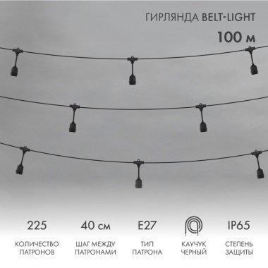 Фотография товара 'Neon-Night 331-231 Гирлянда Belt-Light 2 жилы, 100м, шаг 40см'