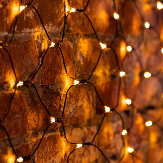 Фотография товара 'Neon-night Гирлянда Сеть 1х1,5 м, 160 LED 215-116'