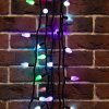 Neon-night Гирлянда Мультишишки, 10 м, 100 диодов 303-509-3