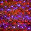 Neon-night Гирлянда-сеть светодиодная 2х0,7 м, свечение с динамикой 215-013