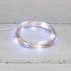 Neon-night Гирлянда «Роса» 10 м, 100 LED, USB, 315-975