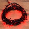 Neon-night Гирлянда 10 м, 100 диодов 303-132