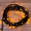 Neon-night Гирлянда 10 м, 100 диодов 303-131