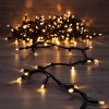 Neon-night Гирлянда модульная «Дюраплей LED» 10 м, 200 LED, 315-216