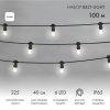 Neon-night Готовый набор: Евро Belt Light 2 жилы шаг 40 см 331-345