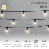 Neon-night Готовый набор: Евро Belt Light 2 жилы шаг 40 см 331-346
