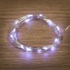 Neon-night Гирлянда светодиодная Роса, 2 м, 20 диодов 303-005